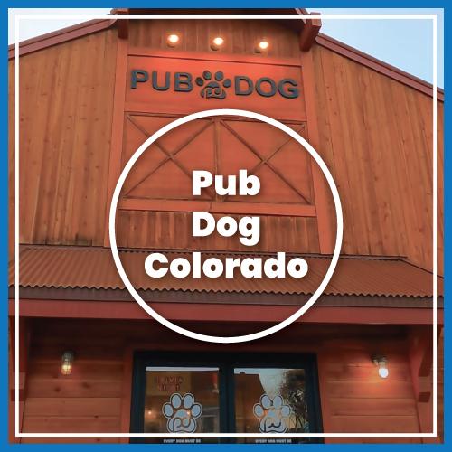 pub dog colorado