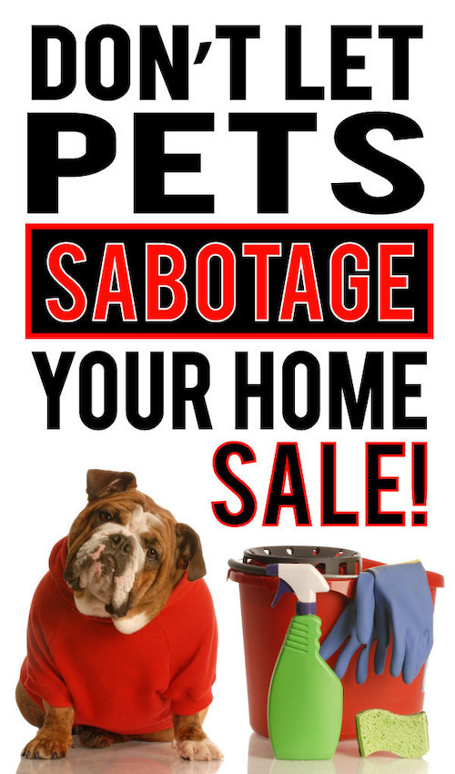 Don't Let Pets Sabotage Your Home Sale