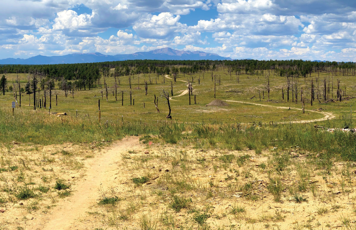 Pineries Open Space Trail View