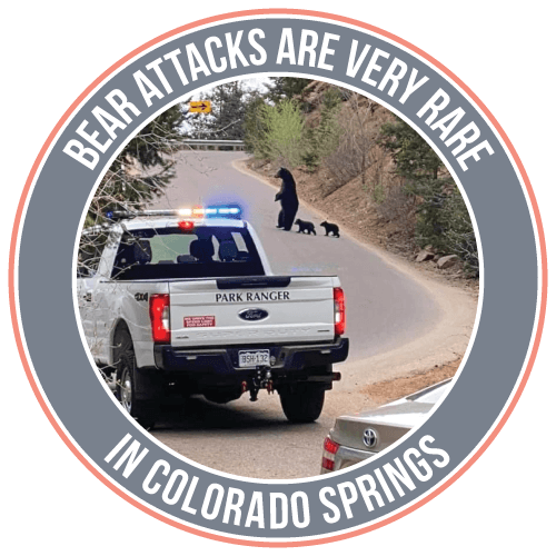 bear attacks are very rare in colorado springs