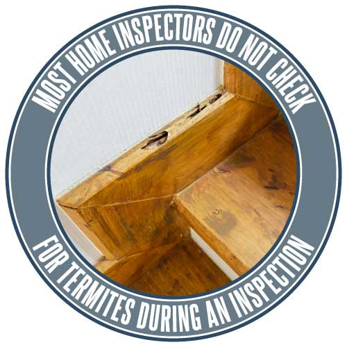 Most home inspectors do not check for termite damage