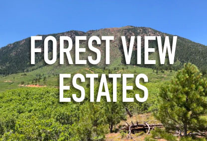 Forest View Estates