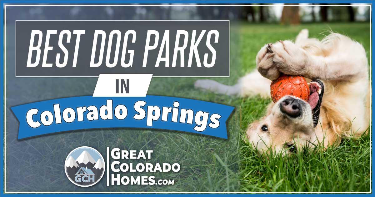 Best Dog Parks in Colorado Springs