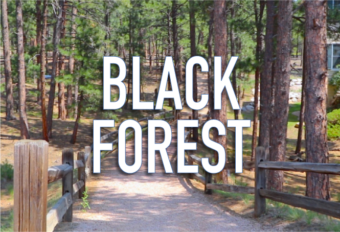 realtor black forest co