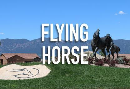Flying Horse in Colorado Springs