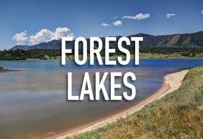 Forest Lakes in Colorado Springs