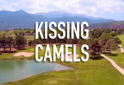 Kissing Camels