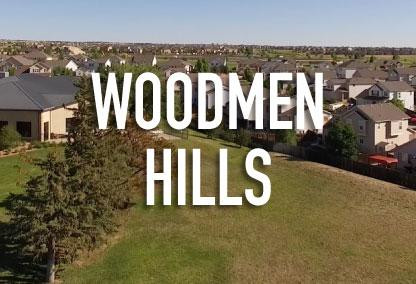 Woodmen Hills Horse