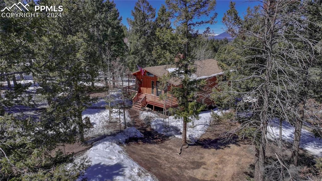 1307 county road 512 divide co 80814