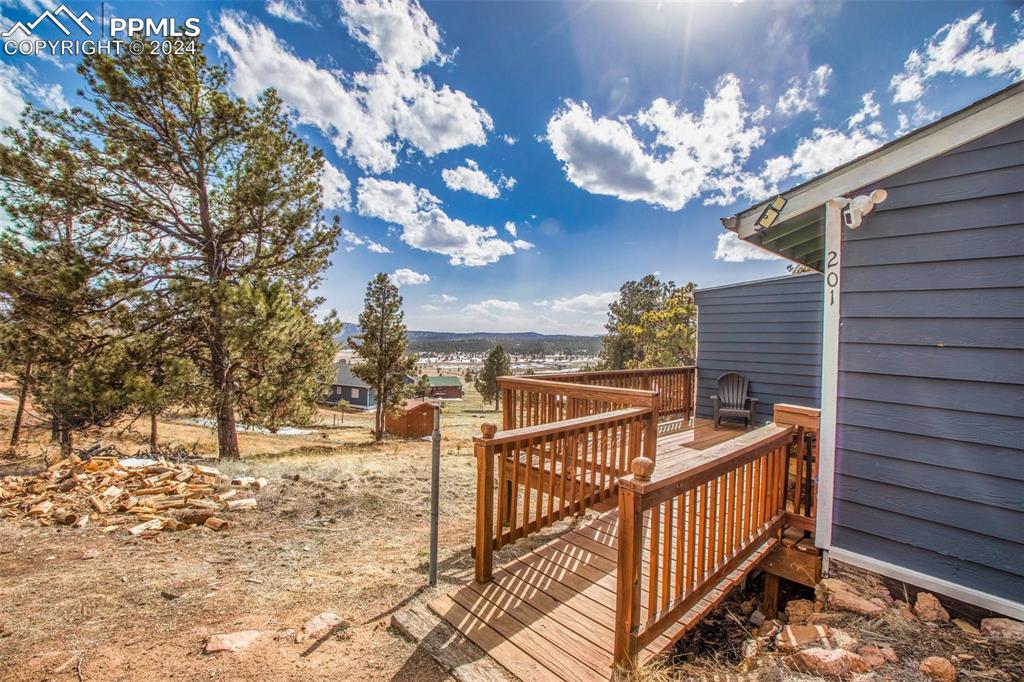 201 dillon lane florissant co 80816