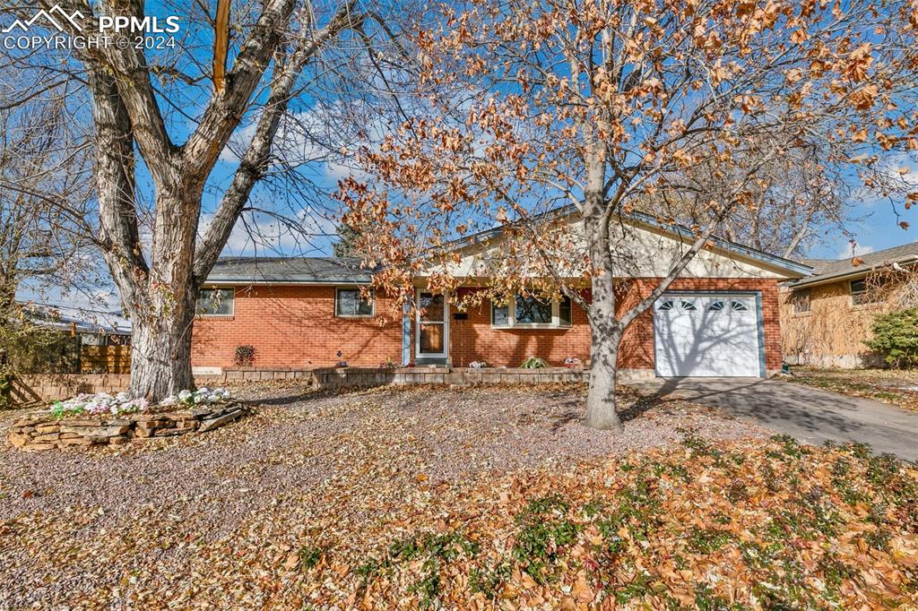 2106 lockhaven drive colorado springs co 80909