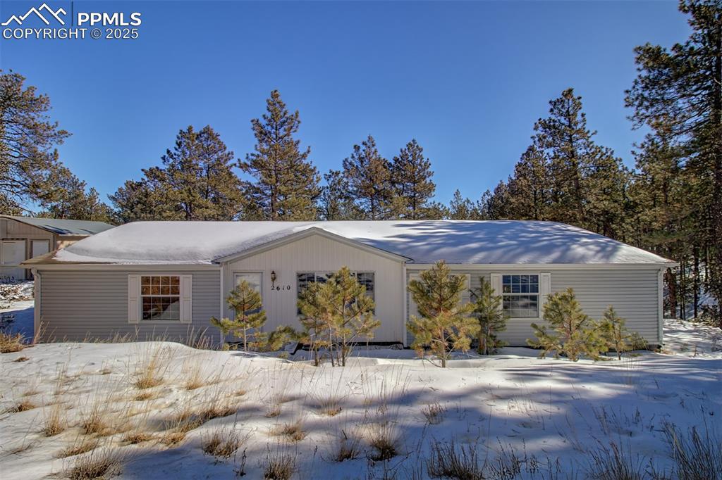 2610 pikes peak drive florissant co 80816