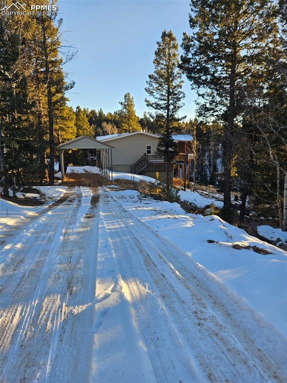 156 sildona trail florissant co 80816