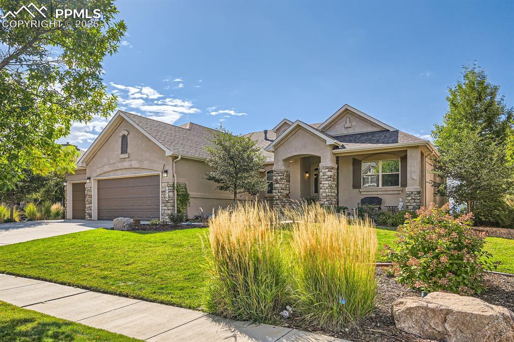 276 coyote willow drive colorado springs co 80921