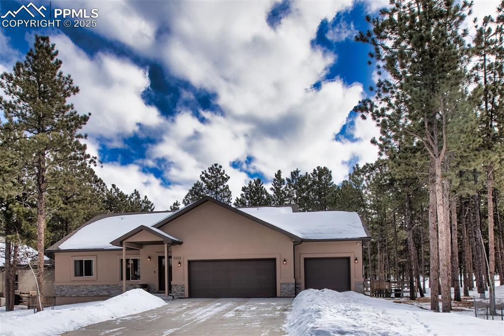 1323 firestone drive woodland park co 80863