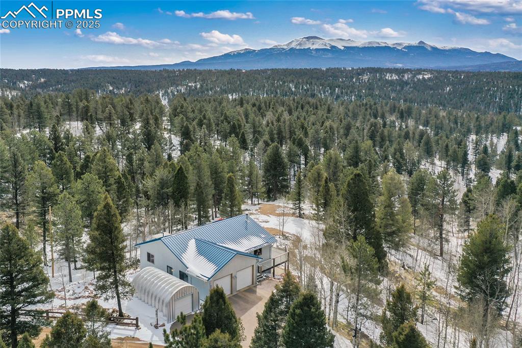 4261 county road 51 divide co 80814