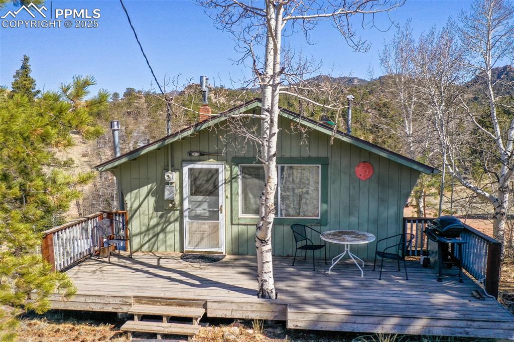 256 whale drive lake george co 80827