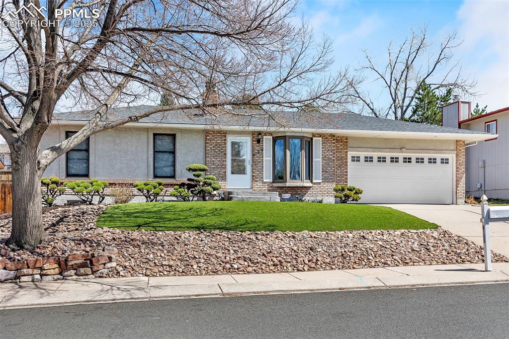 6155 snowbird drive colorado springs co 80918