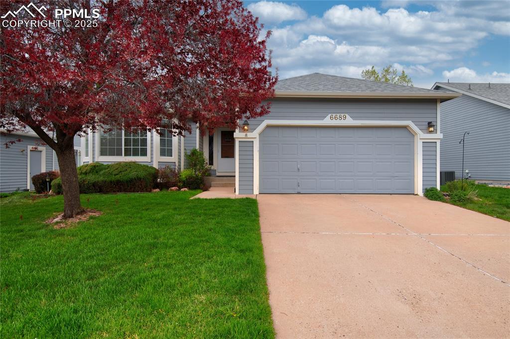 6689 showhorse court colorado springs co 80922