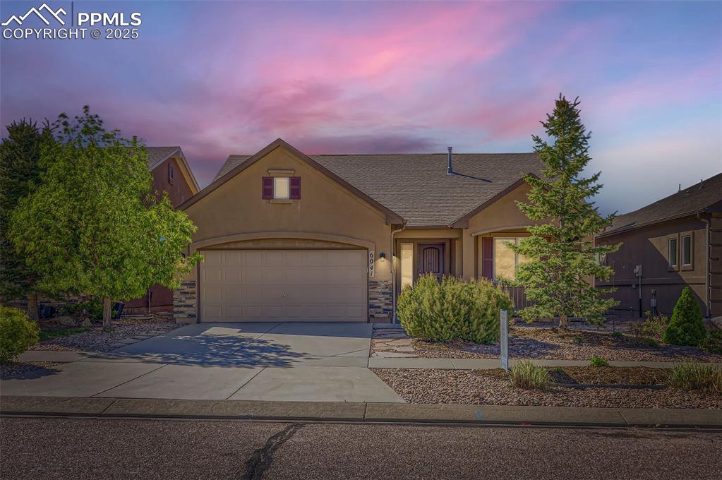 6041 leon young drive colorado springs co 80924