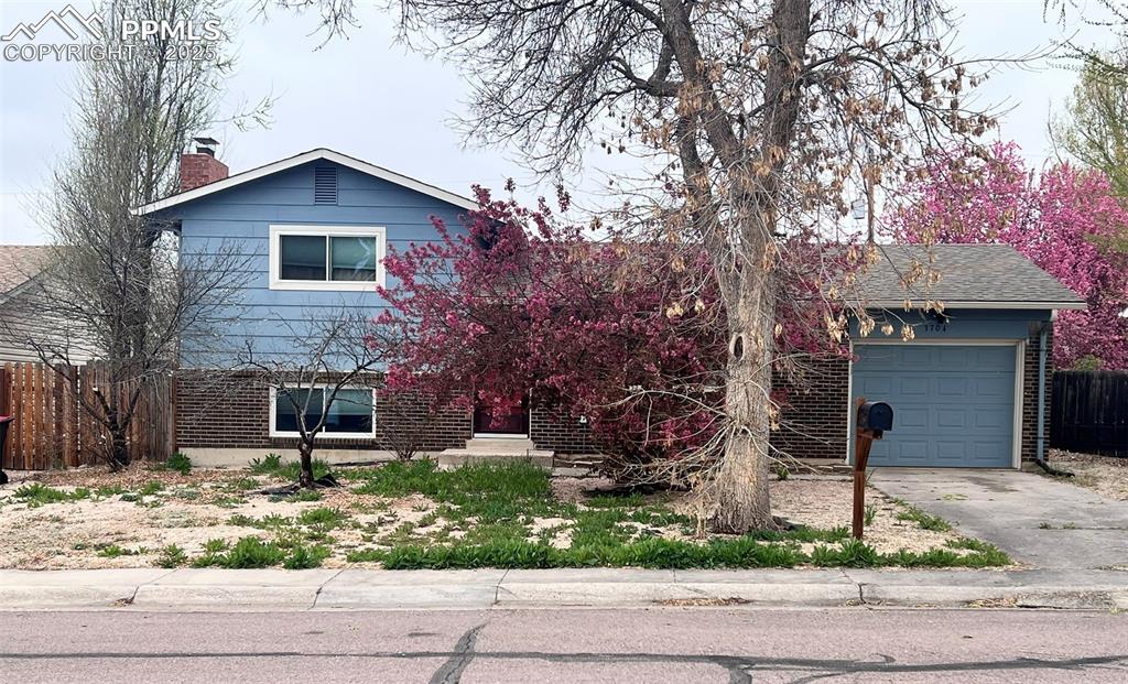 3704 indianpipe circle colorado springs co 80918