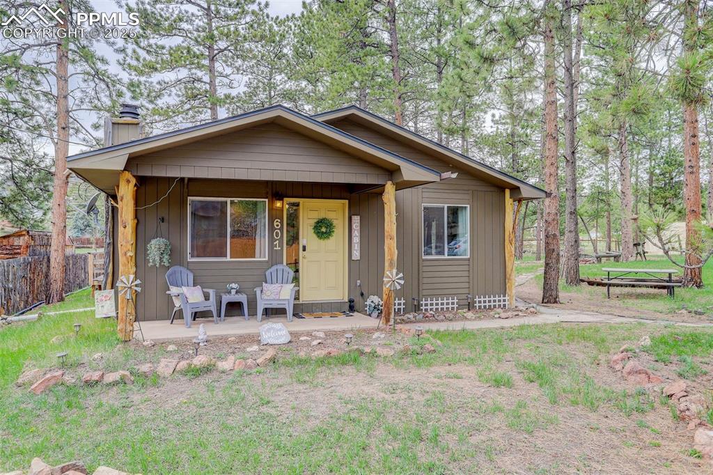 601 dallas alley woodland park co 80863