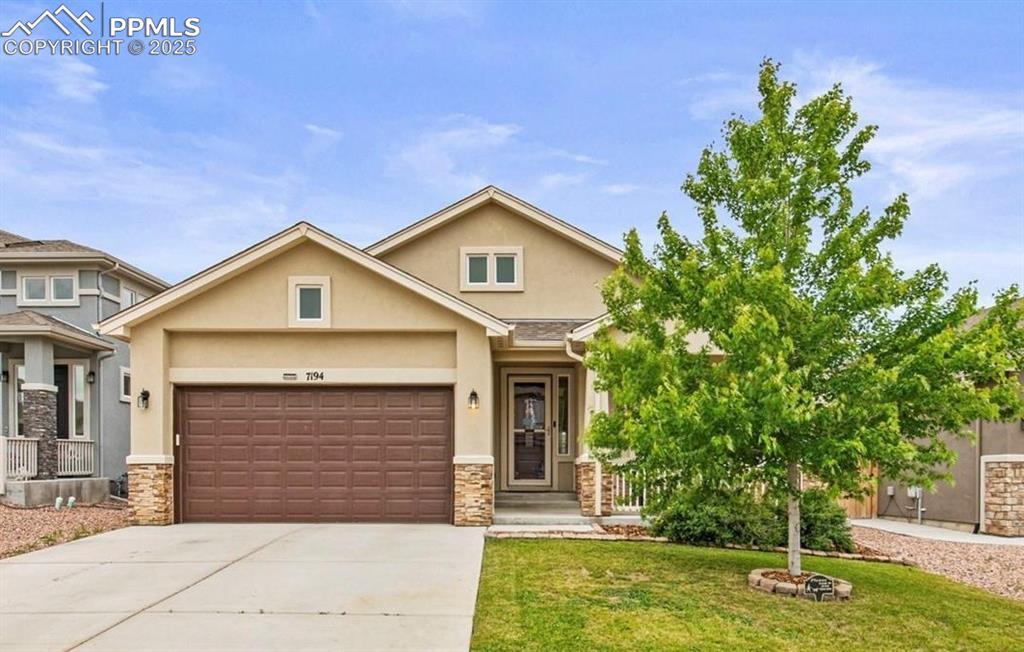 7194 peachleaf drive colorado springs co 80925