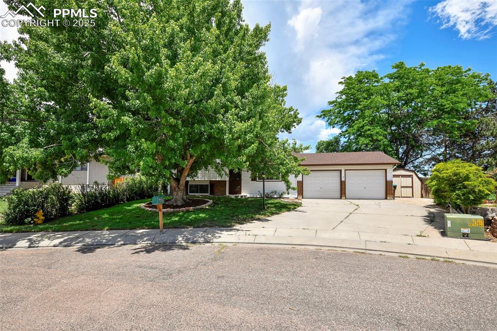 4059 cooke lane colorado springs co 80911