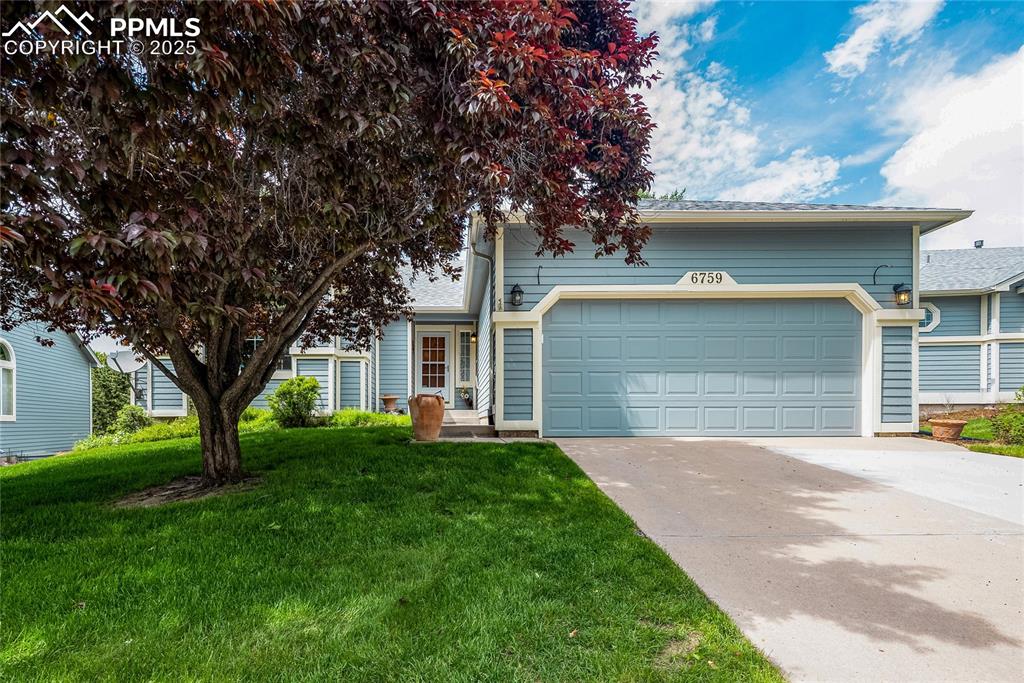 6759 showhorse court colorado springs co 80922