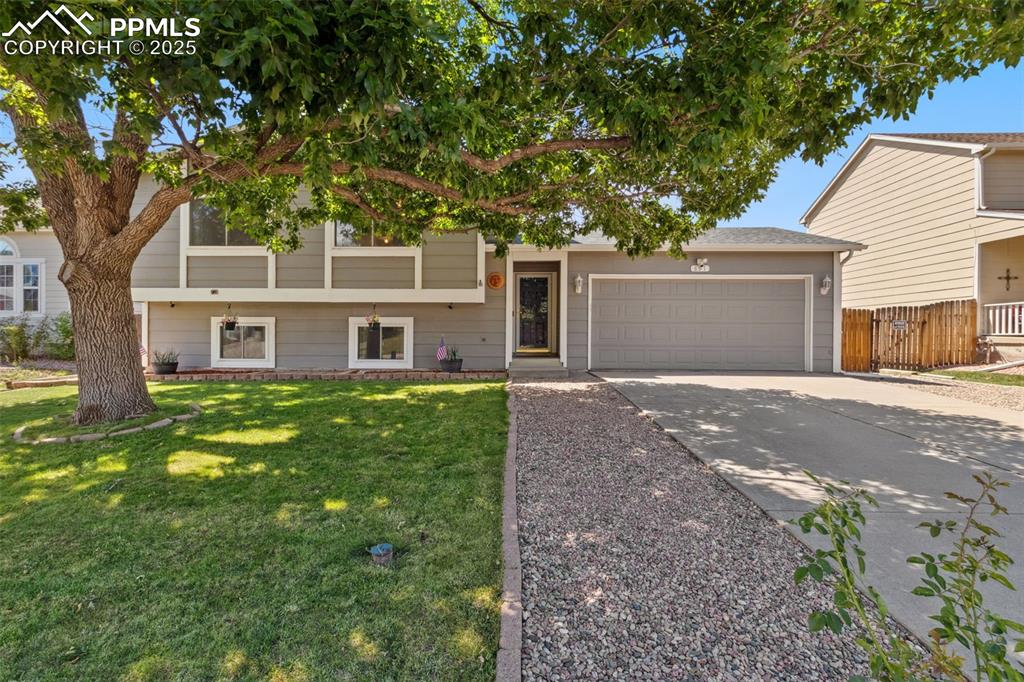 891 daffodil street fountain co 80817