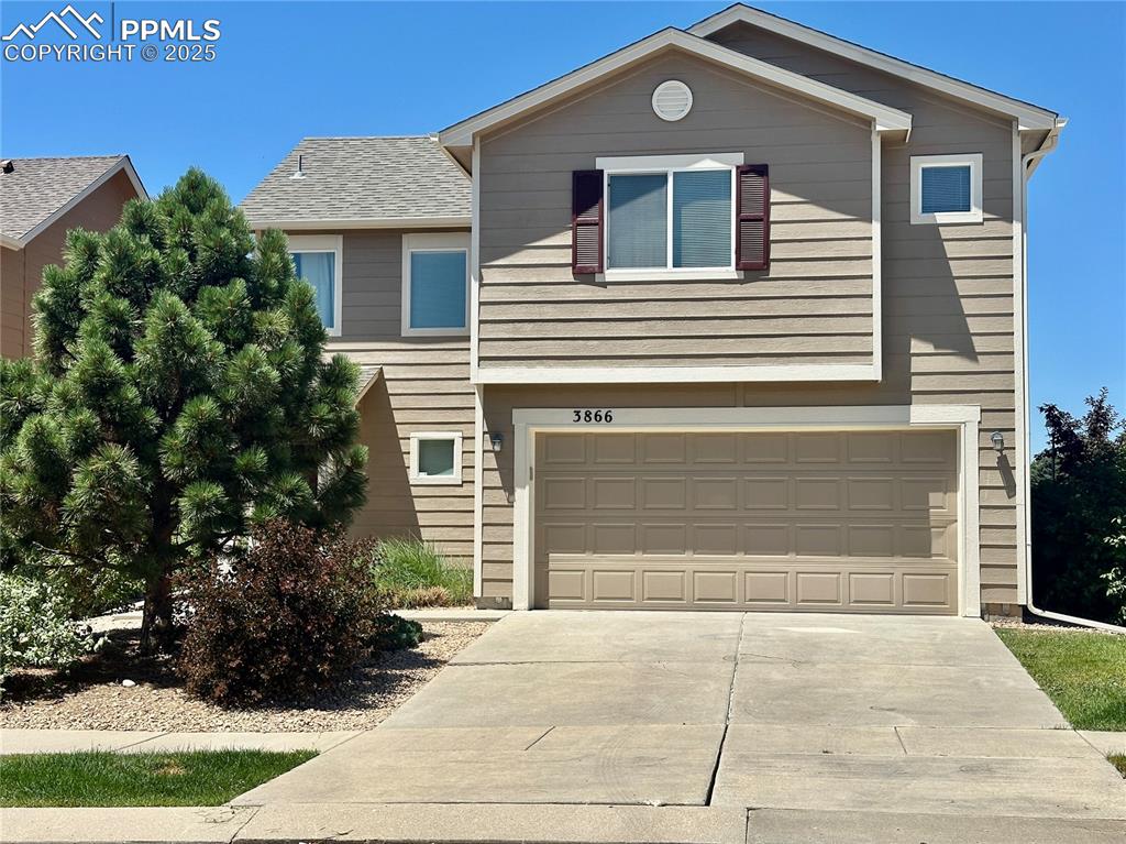 3866 papuan drive colorado springs co 80922
