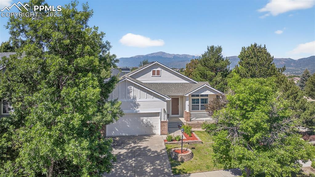 3350 sand flower drive colorado springs co 80920