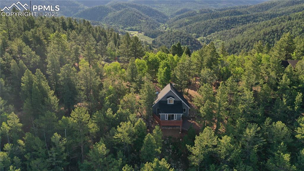 337 blue spruce road divide co 80814