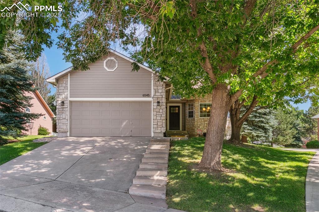 6545 bonifas court colorado springs co 80919