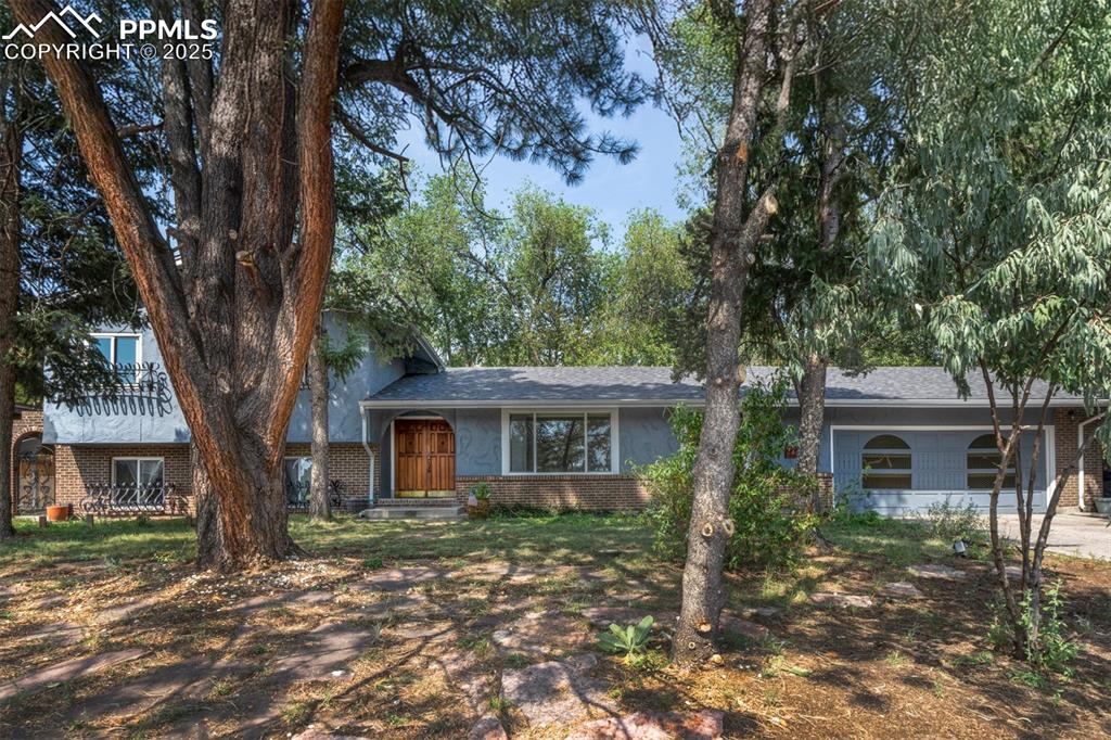 2768 rigel drive colorado springs co 80906