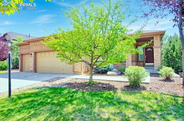 4267 purple plum way colorado springs co 80920