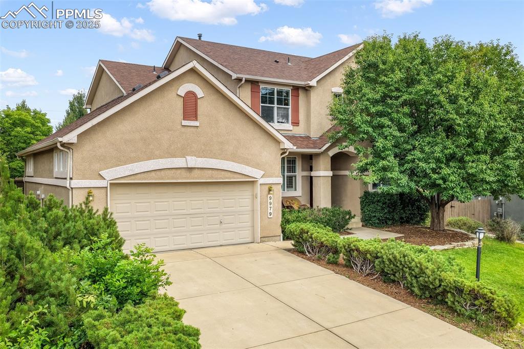 9979 rose leaf court colorado springs co 80920