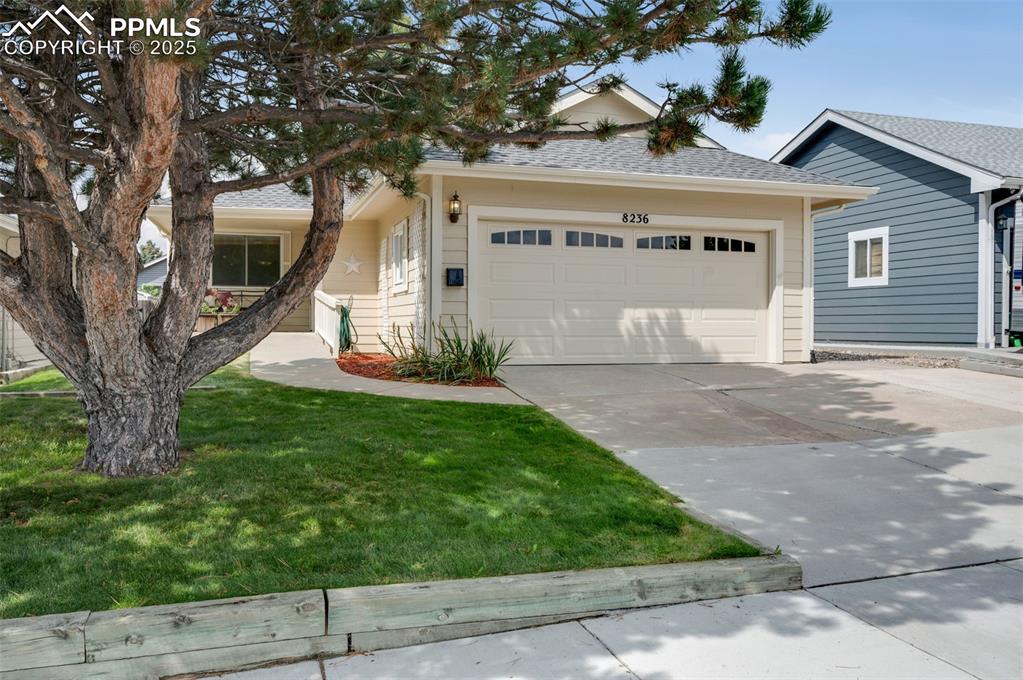 8236 telegraph drive colorado springs co 80920