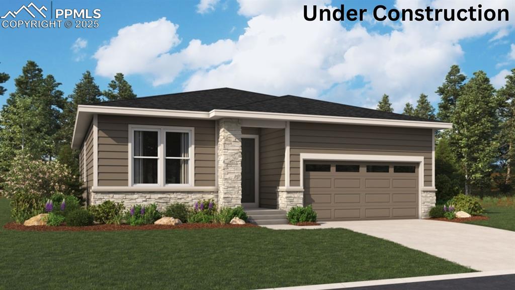 9349 golden buffs drive colorado springs co 80925