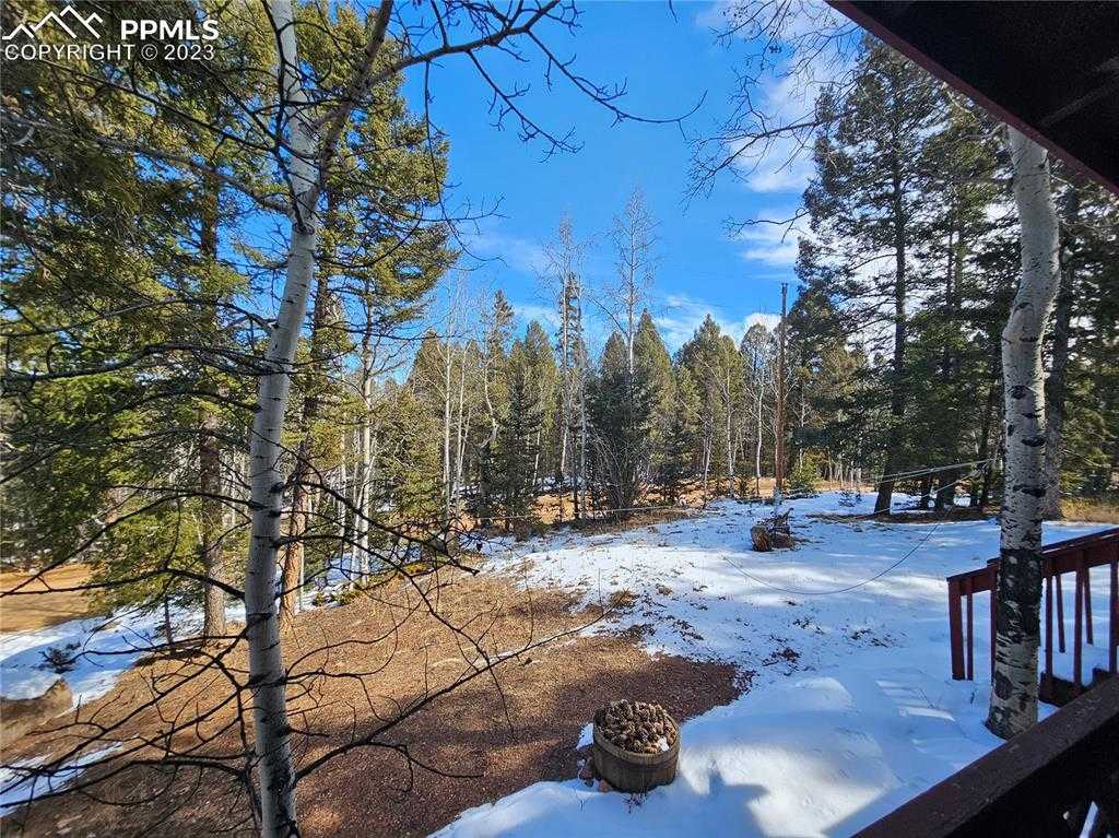 866 Jolly Rogue Dr, Divide, CO 80814 | MLS 2088241