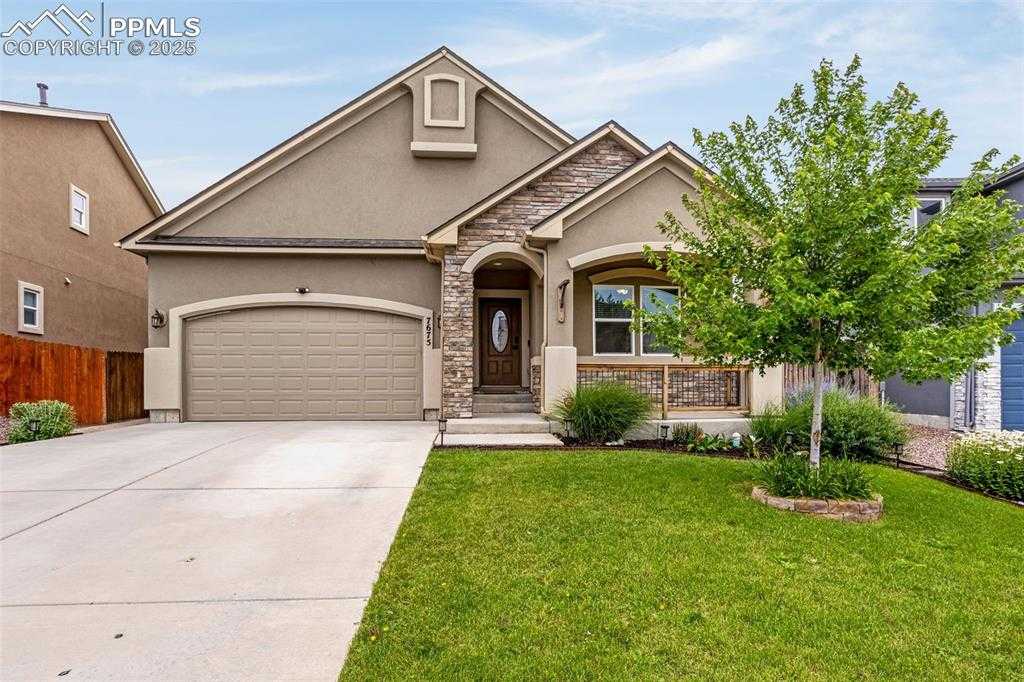 7675 Bigtooth Maple Dr photo 1 of 50